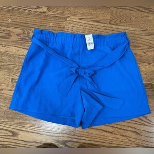 New With Tags LOFT High Waist Blue Shorts with Tie Detail